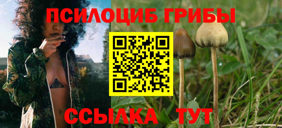Псилоцибиновые грибы GOLDEN TEACHER Белогорск